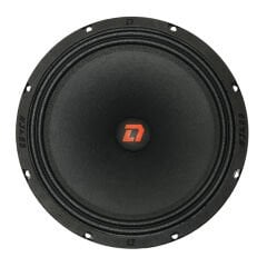 Raven 250 V.2