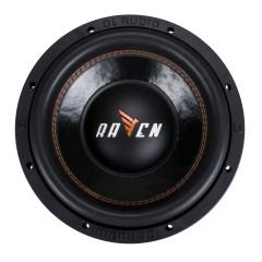 Raven 10