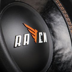 Raven 10