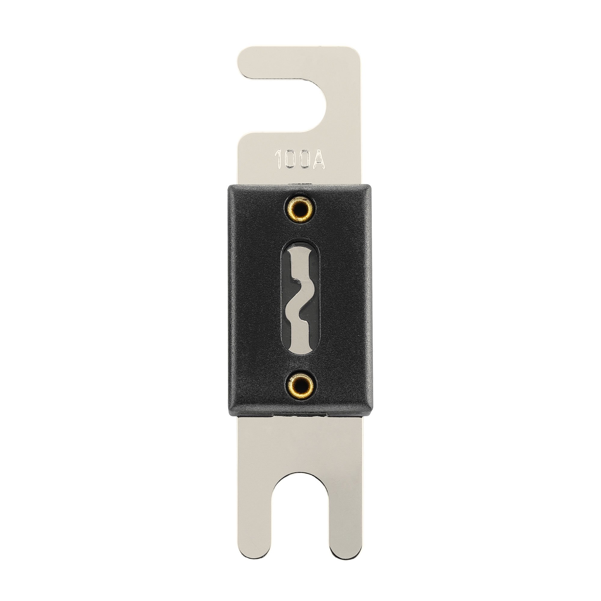 Phoenix ANL Fuse 100A